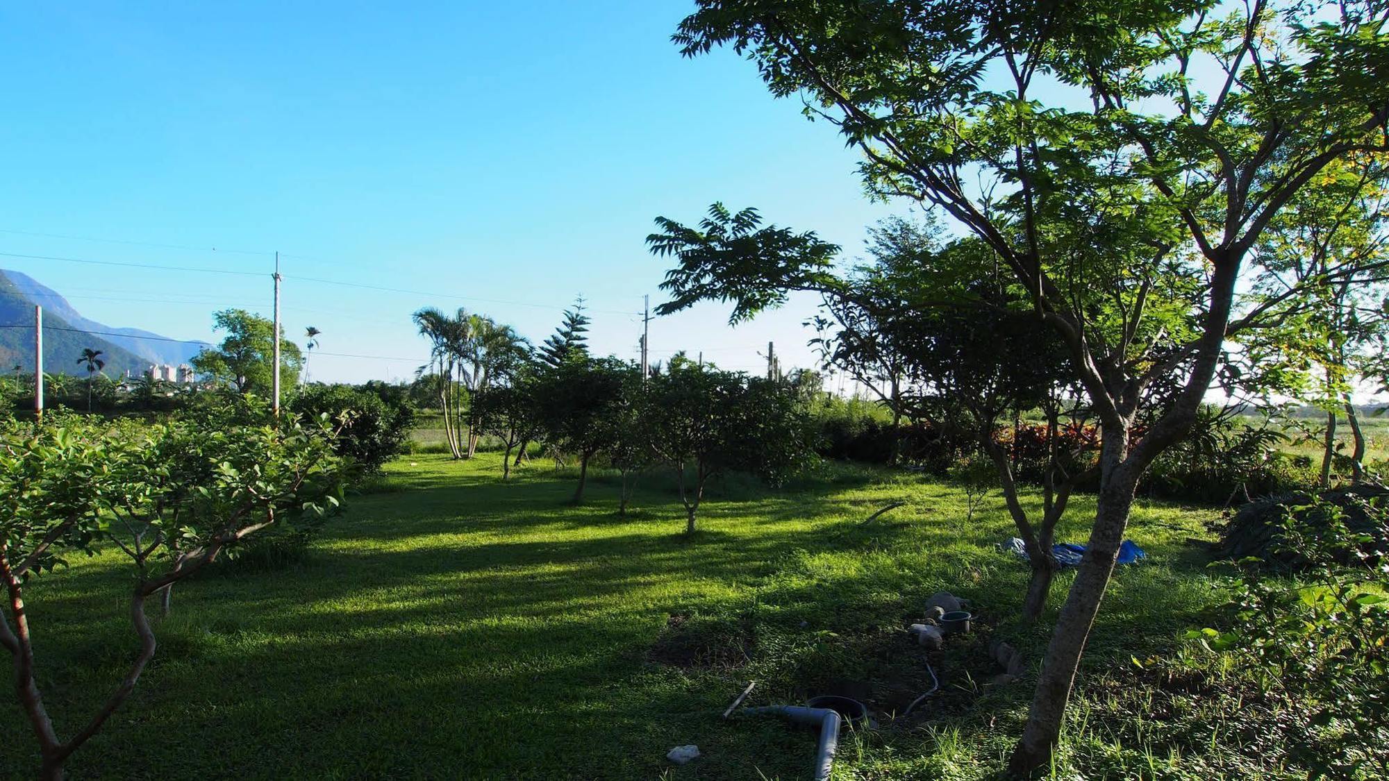 Xincheng Township Viasea B&B מראה חיצוני תמונה